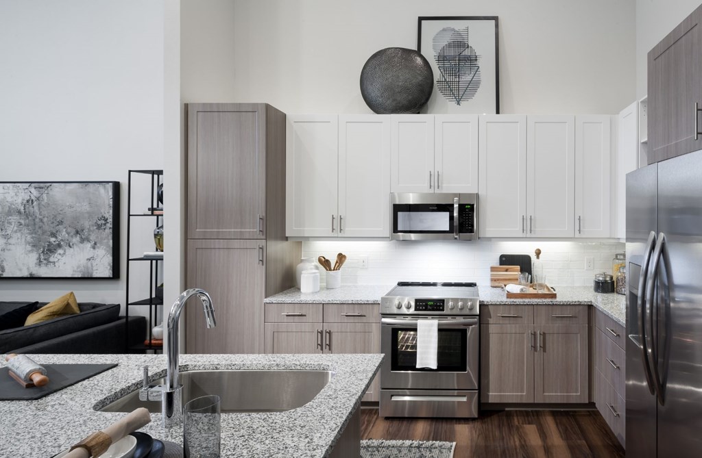 Stainless Steel Appliances at Berkshire Pullman, Frisco, TX